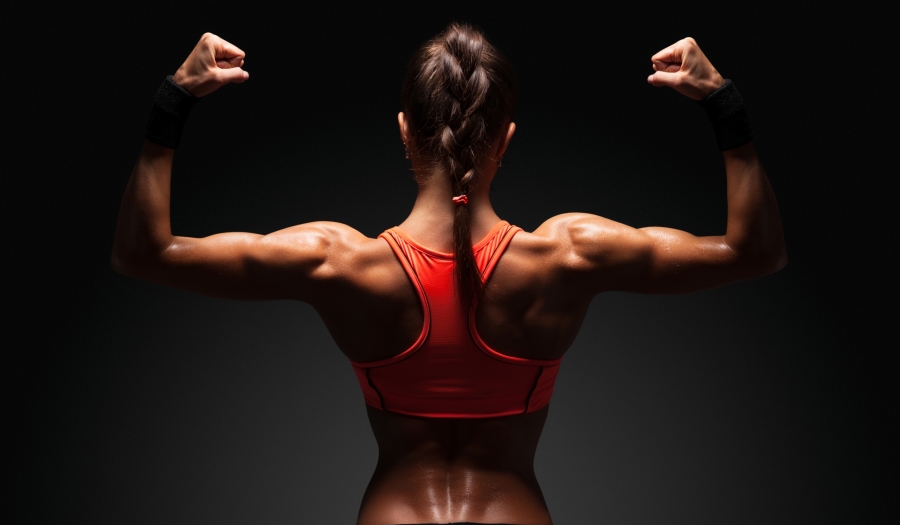Musculação para mulheres • Hipertrofia